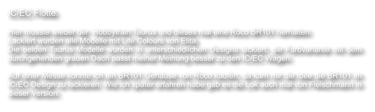 IC/EC Flotte.  Hier musste wieder der  Hobbytrain Taurus und dieses mal eine Roco BR101 herhalten. Lackiert wurden alle Modelle mit Life Colours von Elita.  Die beiden Taurus Modelle wurden in unterschiedlichen Designs lackiert, die Farbvariante mit dem durchgehenden grauen Dach passt meiner Meinung besser zu den IC/EC Wagen.  Auf einer Messe konnte ich ein BR101 Geh�use von Roco kaufen, da kam mir die Idee die BR101 im IC/EC Design zu lackieren. Wie ich sp�ter erfahren habe gab es die Lok auch mal von Fleischmann in dieser Version.